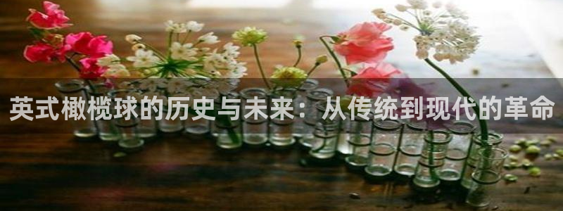 一竞技官方集团官网:英式橄榄球的历史与未来:从传统到现代的革