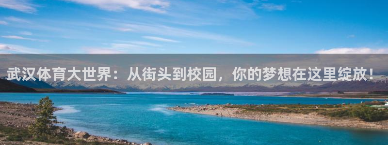 一竞技官网下载平台假的吗是真的吗吗:武汉体育大世界:从街头到